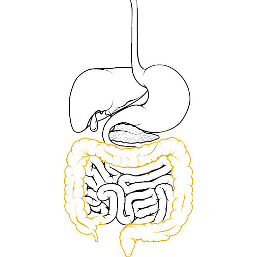 Colonoscopy